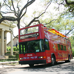 City Sightseeing Bus 